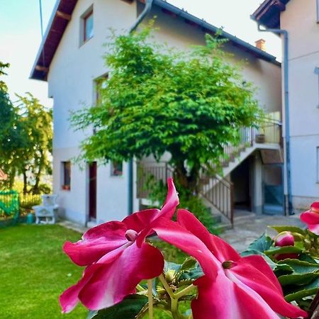 Apartman Amila Sarajevo Exterior photo