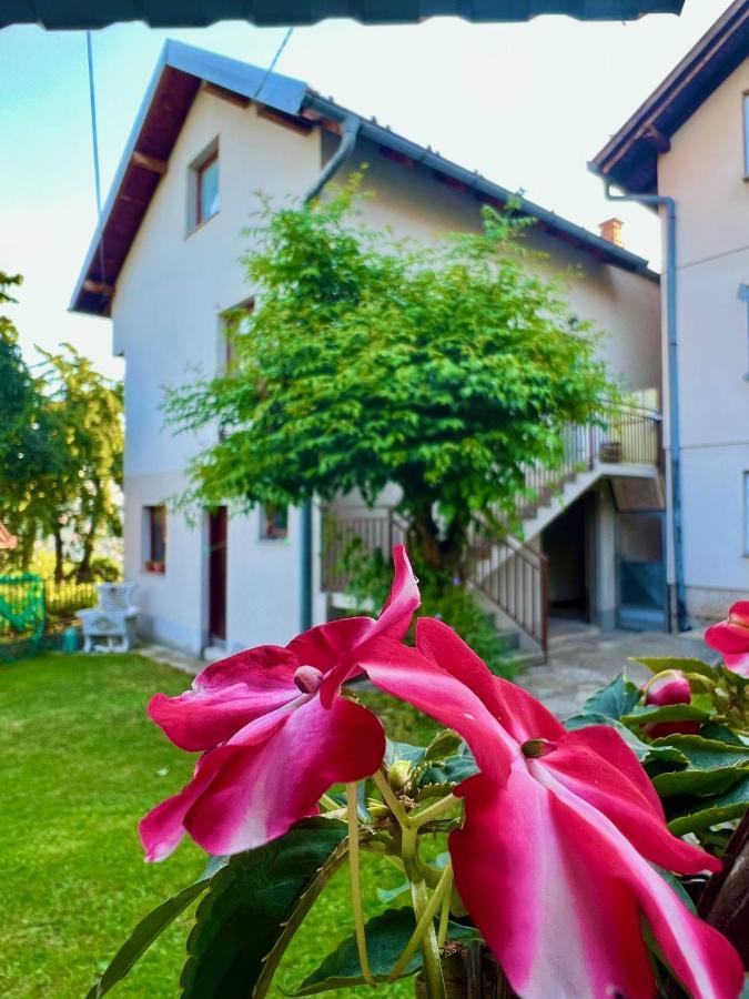 Apartman Amila Sarajevo Exterior photo